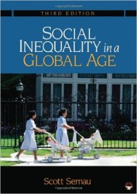 social-inequality-in-a-global-age